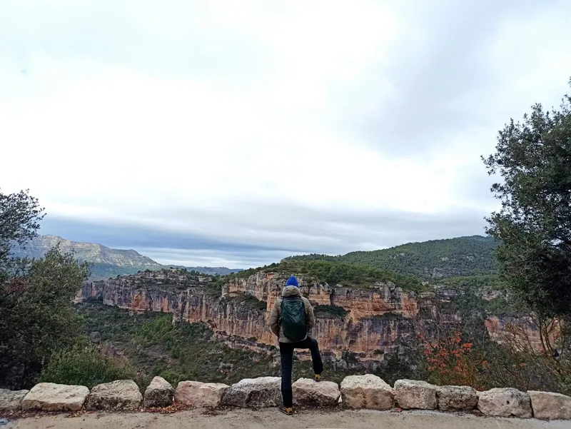 the long limestone walls of Siurana above the forest.